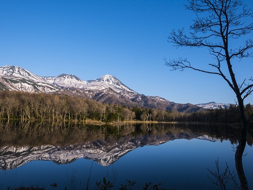 【日本最後秘境】知床五湖．富良野薰衣草．濕原丹頂鶴．白金青池．阿寒遊覽船6天