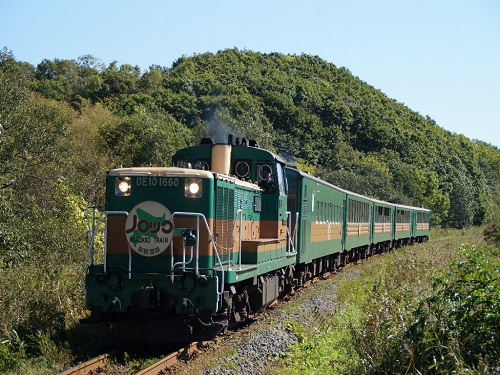 【十勝熱氣球】旭山北極熊．溼原慢車號．阿寒遊覽船．小樽運河．藻岩山夜景5天