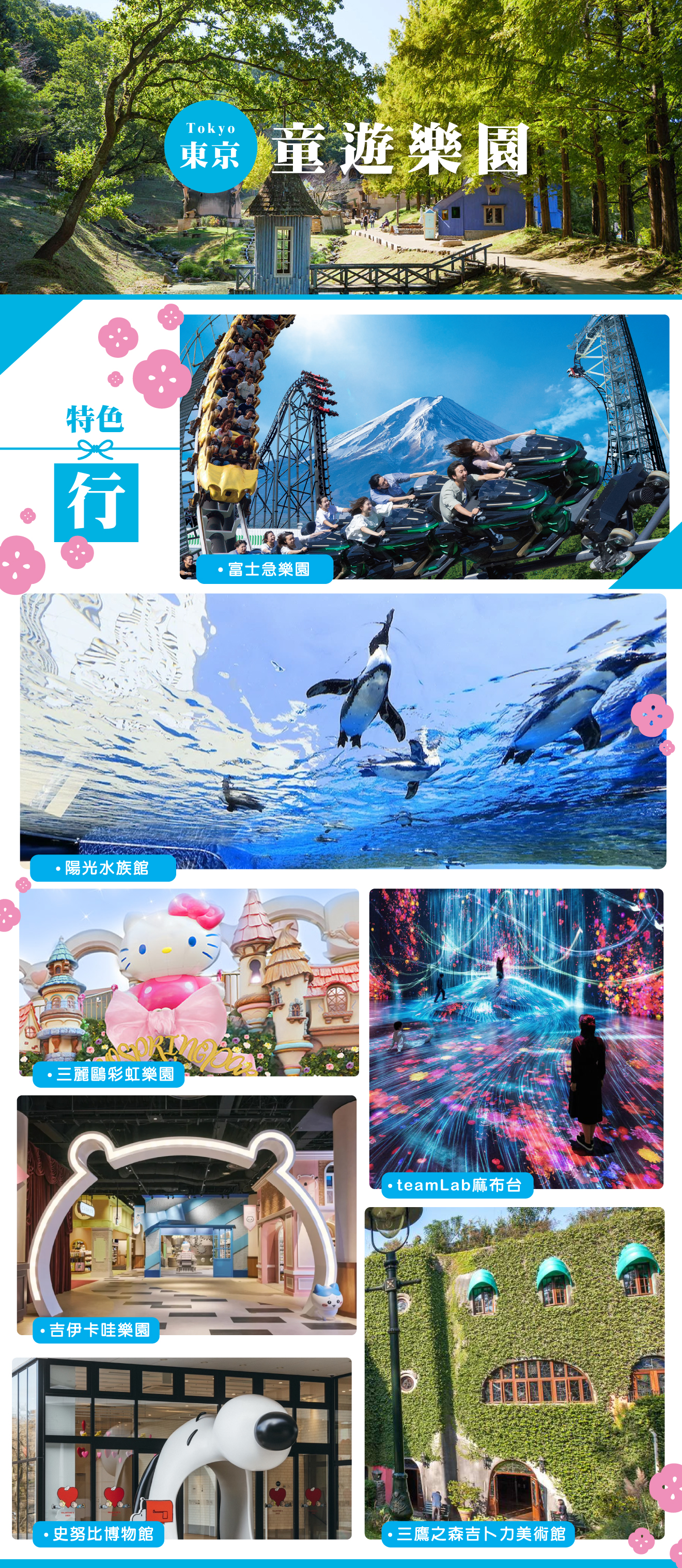這是一張圖片