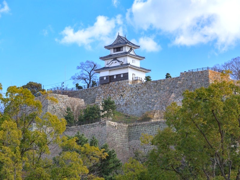 丸龜城天守閣
