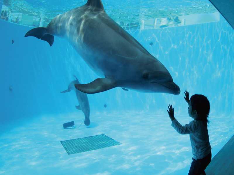 海閃閃水族館

