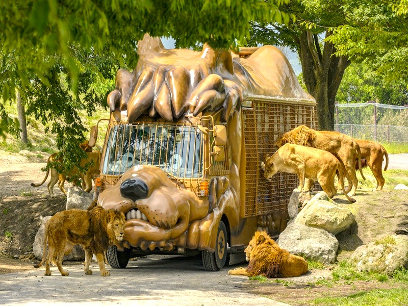 九州自然動物園~叢林巴士
