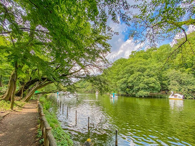井之頭恩賜公園