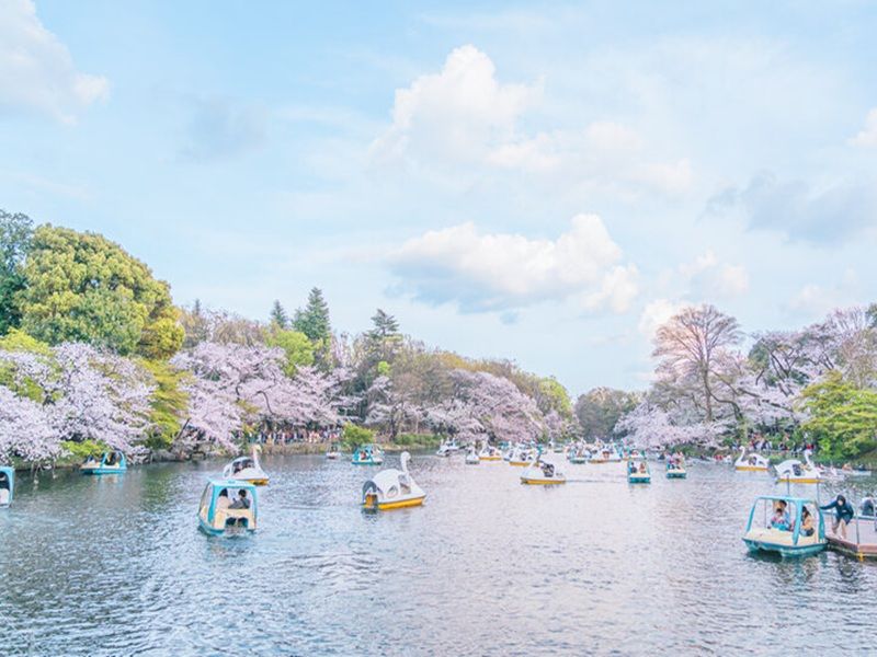 井之頭恩賜公園