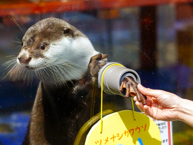 伊勢海洋樂園