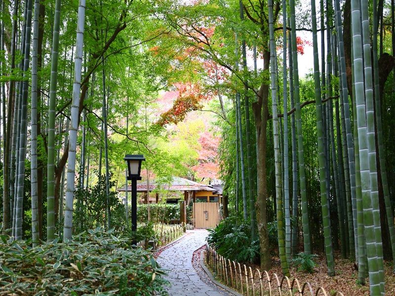 伊豆修禪寺