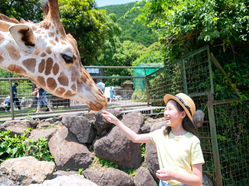 伊豆動物王國
