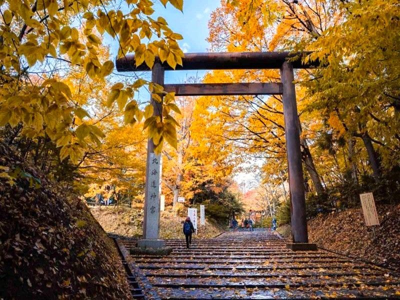北海道神宮



