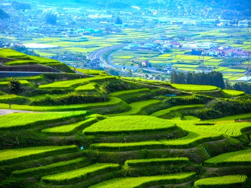 姨捨梯田