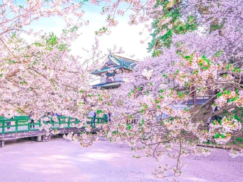 弘前城櫻花河