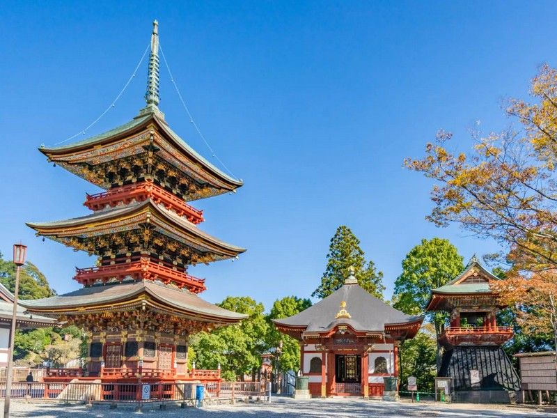 成田山新勝寺+表參道



