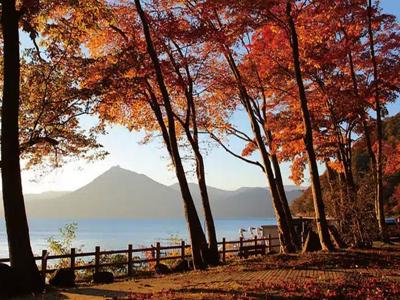 支芴湖紅葉