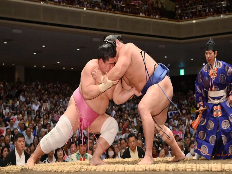 【日本深度文化】京都藝妓展演‧相撲見學‧清水燒陶藝‧忍者體驗‧甲子園野球5天