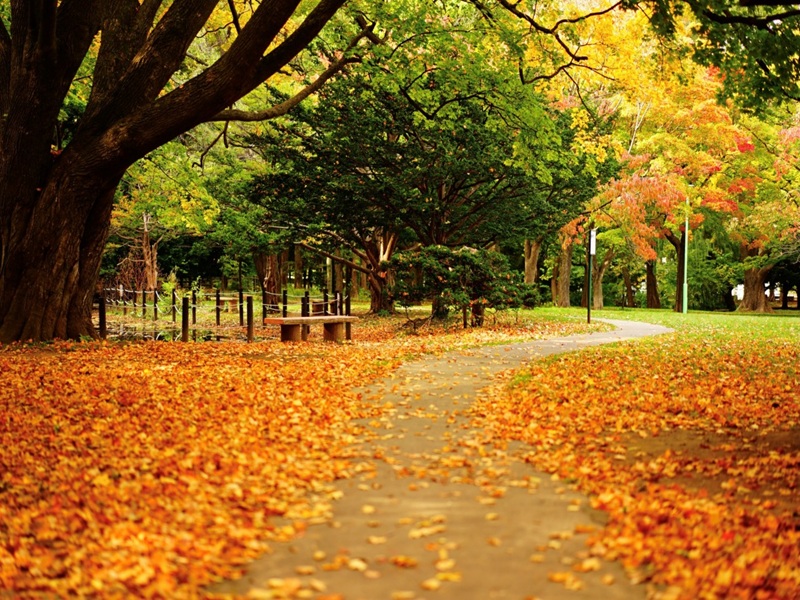 札幌圓山公園