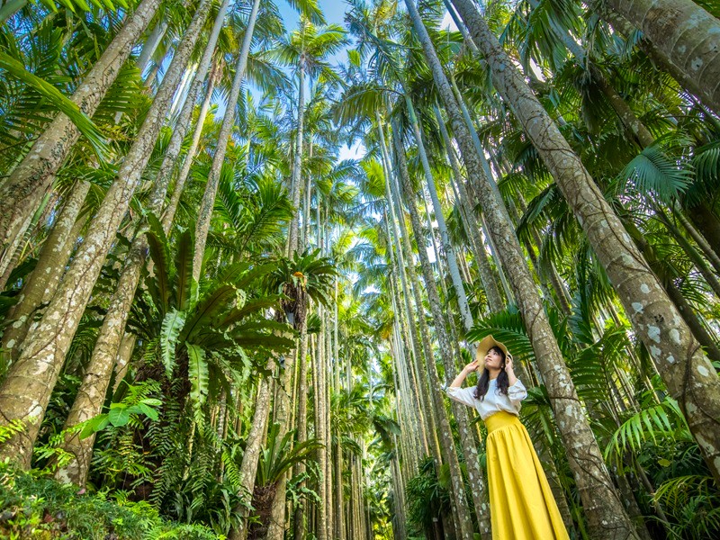 東南植物樂園