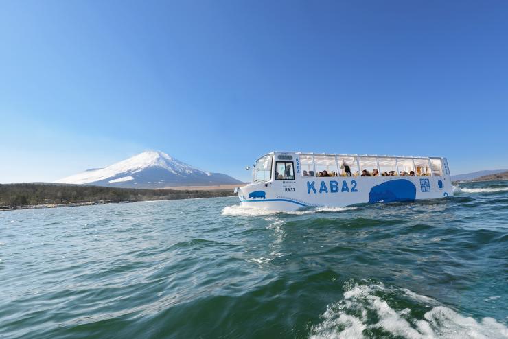 山中湖河馬水陸巴士