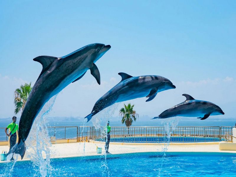 海之中道水族館