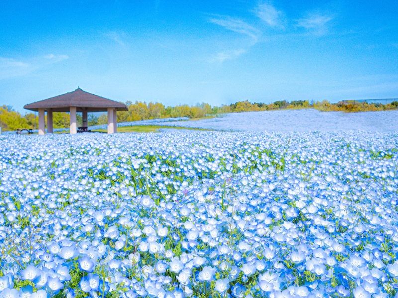 海之中道海濱公園