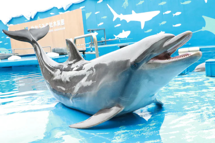 仙台海之杜水族館