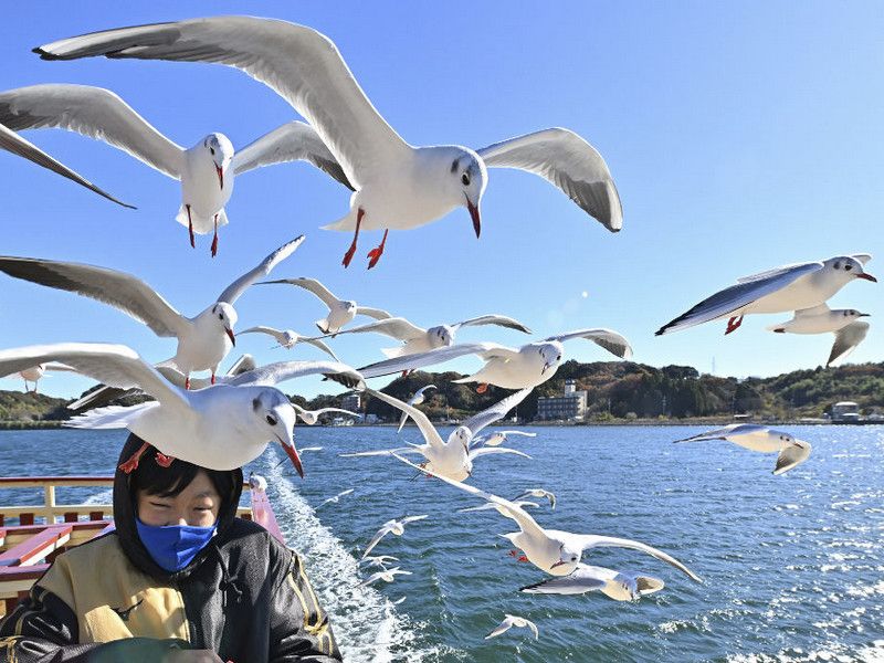 濱名湖遊覽船