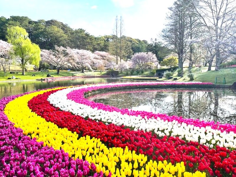 濱松花卉公園