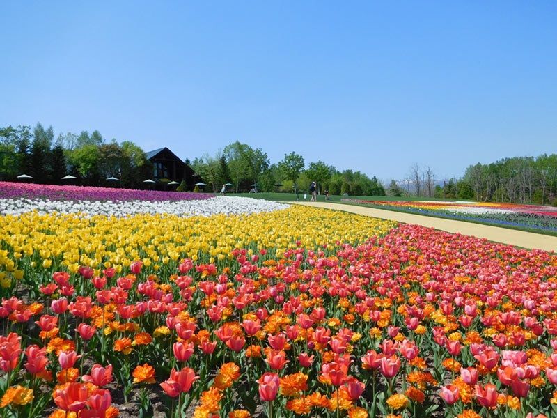 瀧野鈴蘭丘陵公園

