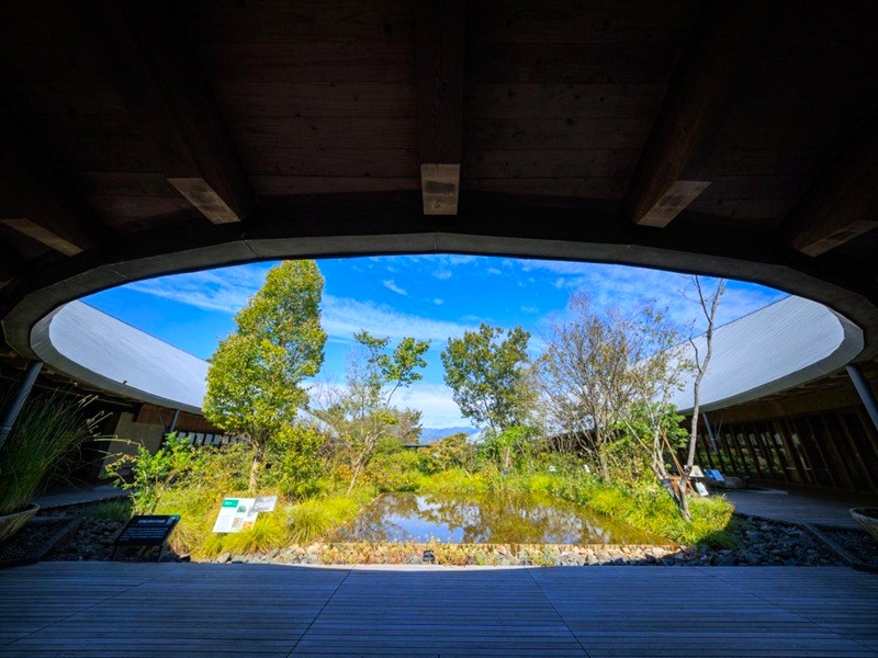牧野植物園