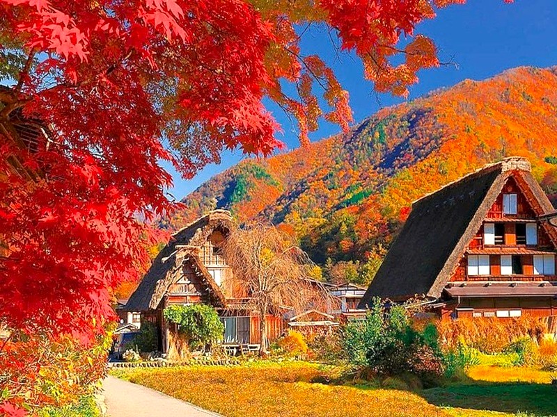 白川鄉合掌村