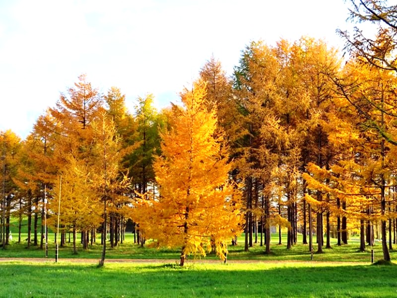 莫埃來沼藝術公園

