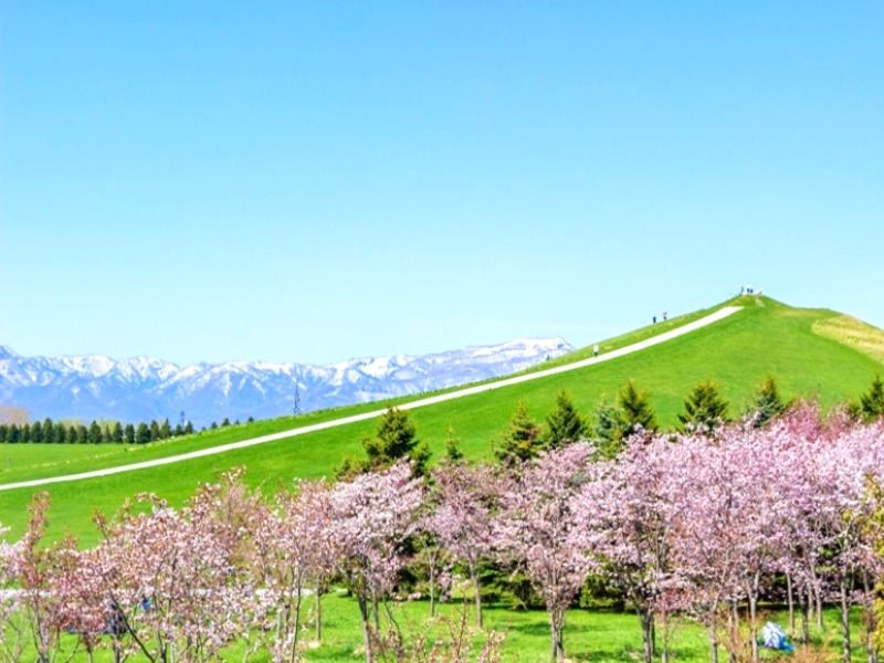 莫埃來沼藝術公園



