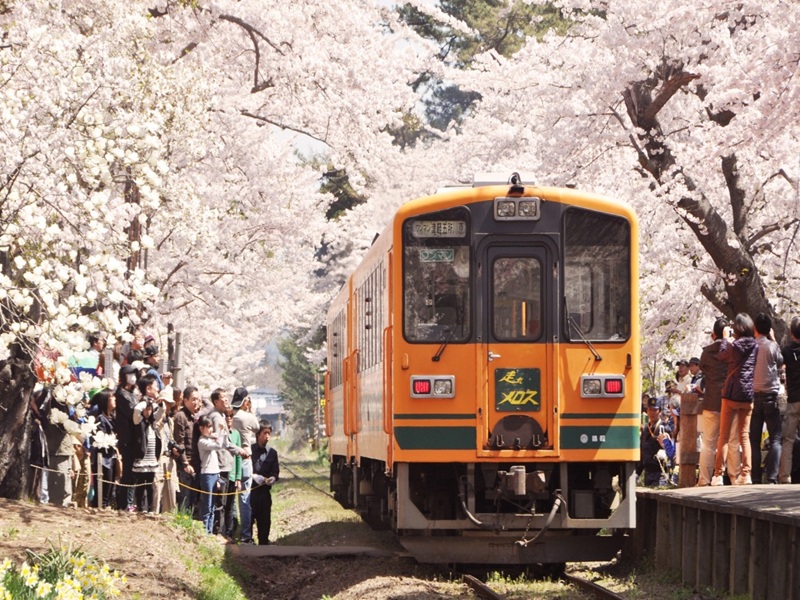 【東北櫻花百選】北上展勝地‧弘前城櫻花河‧角館武家屋敷‧蘆野公園‧猊鼻溪舟下5天