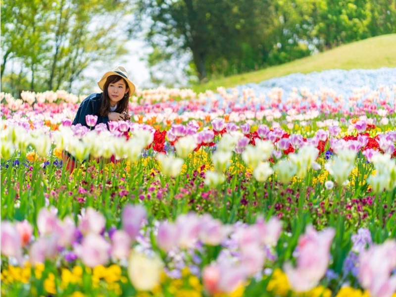 國營讚岐滿濃公園



