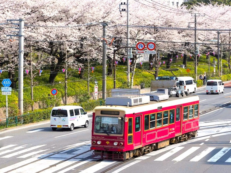 都電荒川線~櫻花路面電車