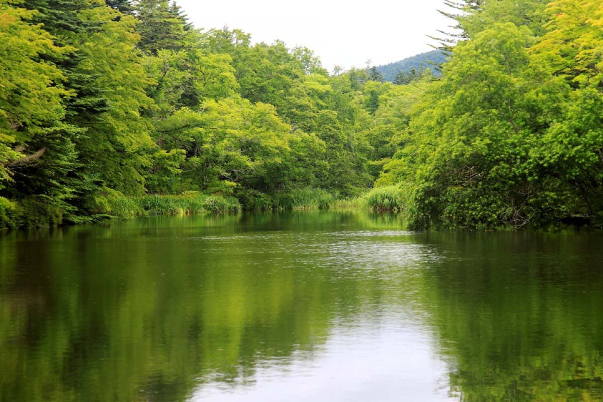 輕井澤雲場池