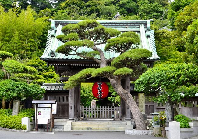 長谷觀音寺