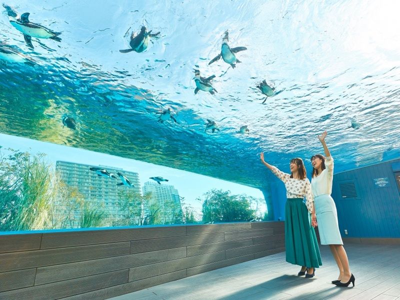 陽光水族館