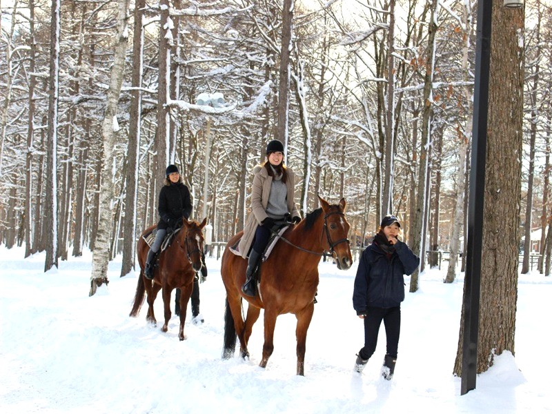 北方馬公園~雪中騎馬體驗

