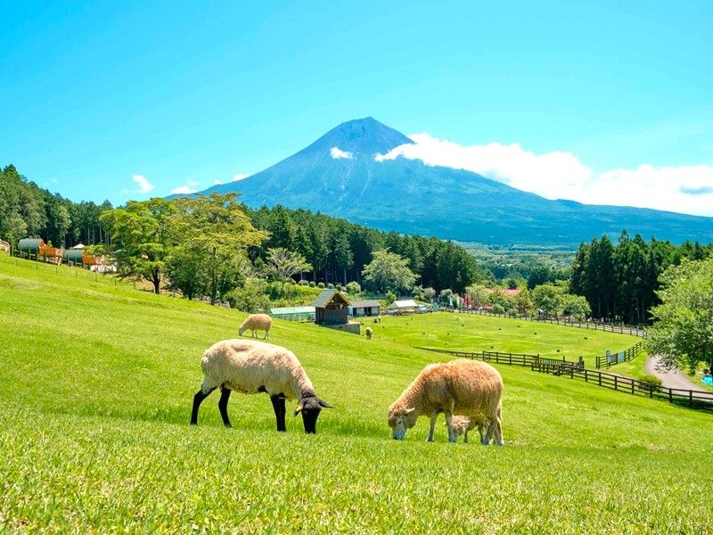 馬飼野牧場