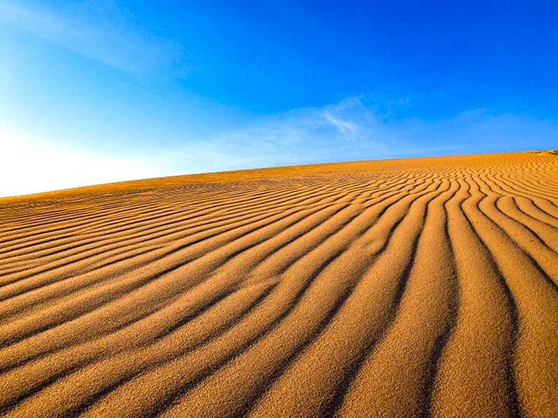 【柯南の故鄉】鳥取砂丘騎駱駝‧足立美術館‧宮島纜車‧松江城遊覽船‧岡山後樂園5天